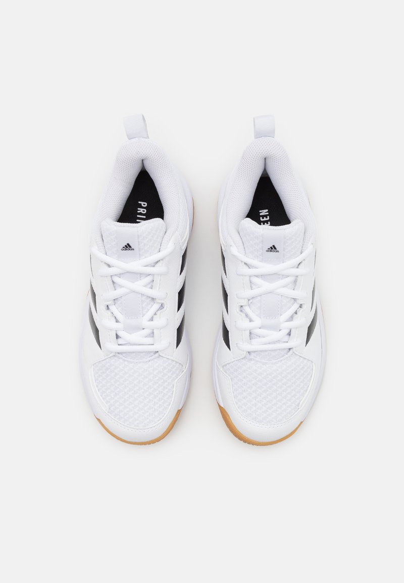 adidas Performance LIGRA 7 INDOOR - Volleyball shoes - footwear white/core  black/white - Zalando.co.uk