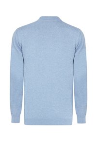 Hellblauer Pullover mit langen Ärmeln, gerippten Bündchen und Saum, der eine subtile Textur aufweist und aus weichem Stoff gefertigt ist.