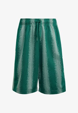 Shorts de sport verts avec des rayures verticales pixelisées gris clair et une taille élastique avec un cordon de serrage vert.