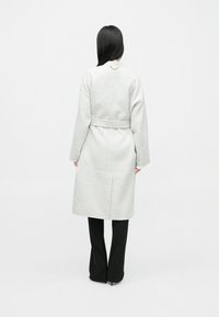 Manteau gris clair en mélange de laine avec une taille ceinturée, des manches longues et un col cranté. Présente une couture arrière discrète et un design minimaliste.