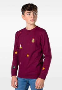 Bordo pulover s vezenimi motivi, vključno s mačko, zvezdami, svečko in sladkarijami v obliki palčke. Ima okrogel izrez in rebraste manšete.