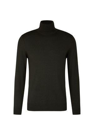 Donkergroen coltrui gemaakt van zacht materiaal, met lange mouwen en geribde manchetten en zoom. Eenvoudig, naadloos ontwerp zonder patronen.