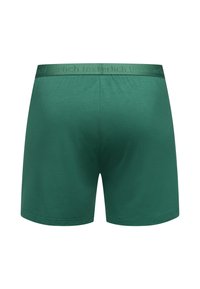 Einfache grüne Männerboxershorts mit elastischem Bund, der ein dezentes Textmuster aufweist, von hinten vor einem weißen Hintergrund angezeigt.