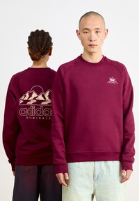 Bordo kapuci ar ribotām piedurknēm un apakšmalu. Priekšpusē ir neliels logo; aizmugurē attēloti kalni un "adidas Originals" krēmkrāsā.