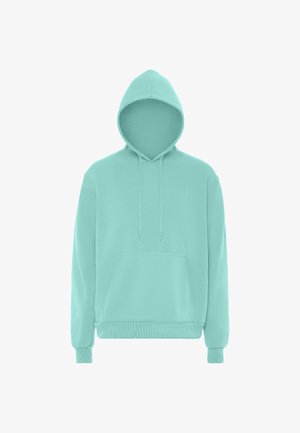ALEKO, ALEKO HOODIE - Hoodie - eisminze