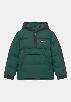 PADDED POPOVER - Vinterjakker - ornamental green/black