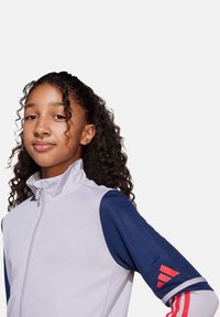 Sportliche Zip-Jacke in Hellgrau und Marineblau, mit roten Streifen an den Ärmeln und einem hohen Kragen, aus glattem Stoff mit leichtem Glanz.