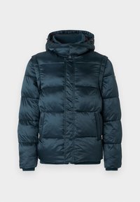 METALLIZED JACKET - Vinterjakke - moonlit night