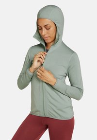 icebreaker ELEMENTAL - Fleece jacket - green