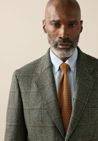Man with salt-and-pepper beard wearing a green plaid blazer, light blue button-down shirt, and textured brown knit tie, neutral background.