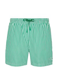 Niewybrane, penny stripe+mardi gras green