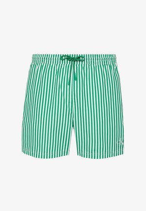 Bañador con rayas verticales verdes y blancas, cintura elástica y cordón verde, logo de Calvin Klein en la parte inferior derecha de la pierna.