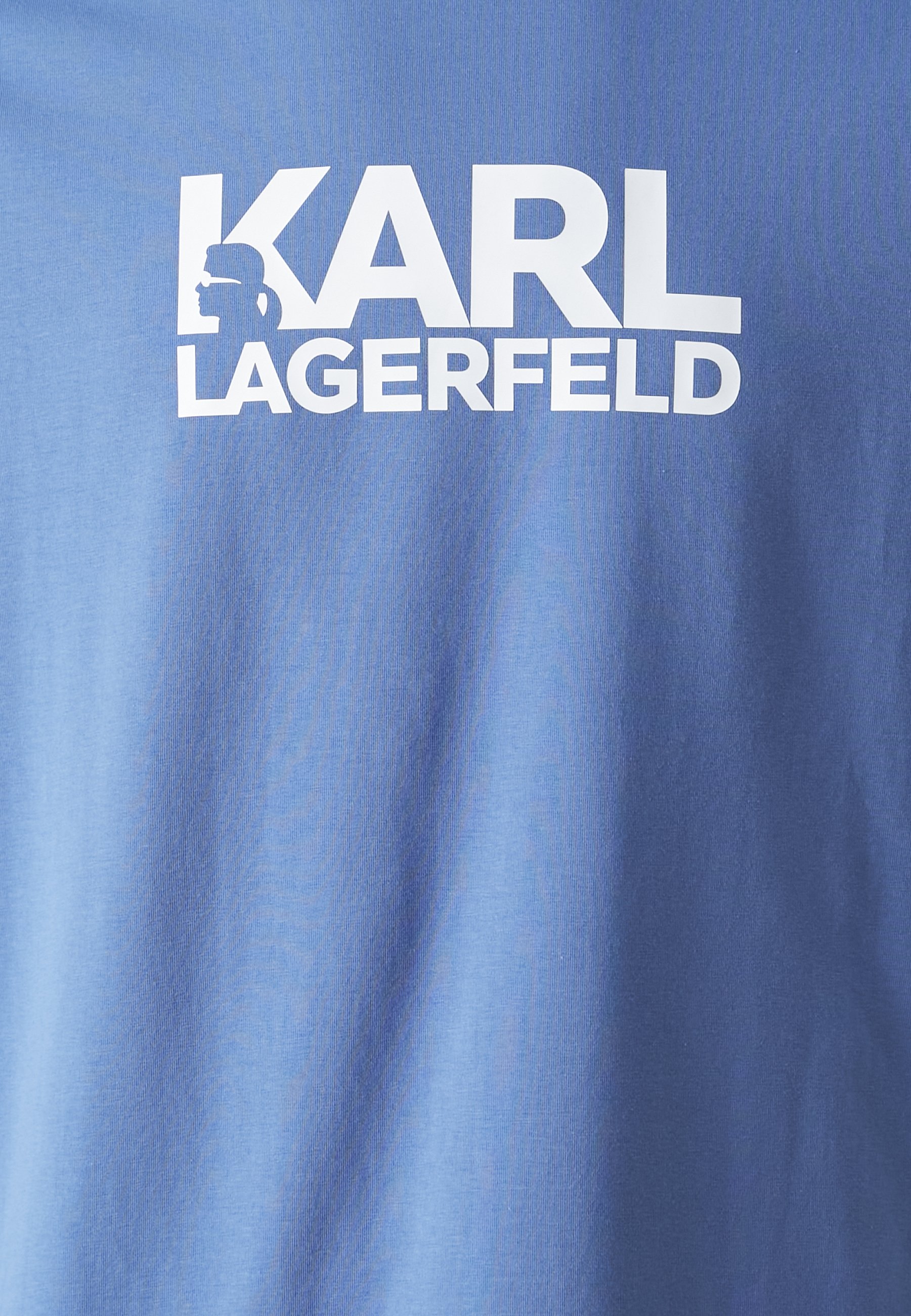 Karl Lagerfeld ブローチ 青系 ブローチ - 日本未発売のインポートブランド ネット通販の
