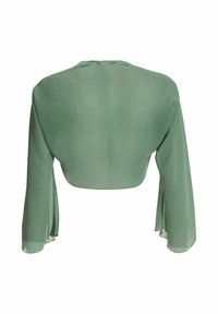 Vue arrière d'un crop top vert sauge, transparent, à manches longues avec un col rond et des manches larges et fluides.