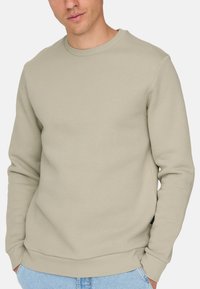 Felpa di un leggero beige con colletto rotondo e polsini a costine, realizzata in materiale morbido, con una vestibilità rilassata e un design minimal.