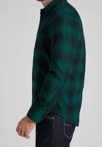 Groen en zwart geruite flanellen shirt met een knoopsluiting-kraag, lange mouwen en een licht afgeronde zoom. De stof lijkt textuur te hebben.