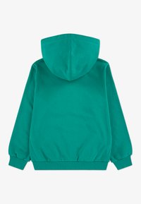 Sweat à capuche vert en tissu doux, doté d'une capuche, de poignets et d'une ceinture côtelés. Le design est simple, sans motifs ni accessoires visibles.