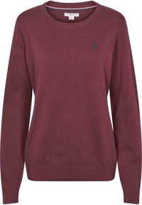 U.S. Polo Assn. Sweter