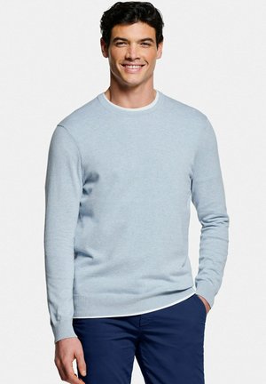 Ein lächelnder Mann mit dunklem Haar, der einen hellblauen Rundhalsausschnitt-Pullover über einem weißen Hemd und dunklen blauen Hosen trägt, mit einer Hand in der Tasche, steht vor einem weißen Hintergrund.