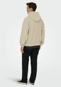 Only & Sons ONSLES CLASSIQUES HOODIE - Felpa in pile - silver lining