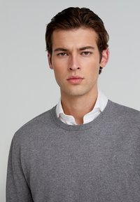 Grijze gebreide trui met een ronde hals, gemaakt van zacht materiaal. Beschikt over een subtiele logo op de borst en gelaagd over een witte blouse met kraag.