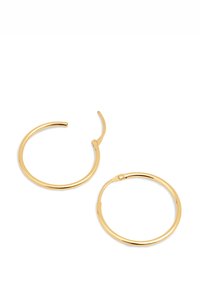 Pendientes de aro de oro con una superficie lisa y pulida, y un cierre articulado para facilitar su uso; forma circular con un perfil delgado.