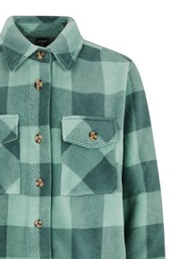 Fleece shirt in teal en donkergroen ruitpatroon. Voorzien van een kraag, voorkruiden en bronzen knopen. Zachte textuur en casual ontwerp.