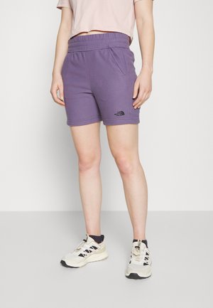The North Face GLACIER - Sport rövidnadrágok - lunar slate