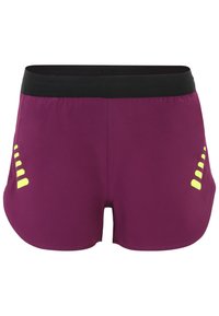 Fila RECALE  - Kurze Sporthose - plum caspia