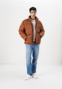Tommy Jeans VAIL PUFFER - Chaqueta de invierno - pecan nut