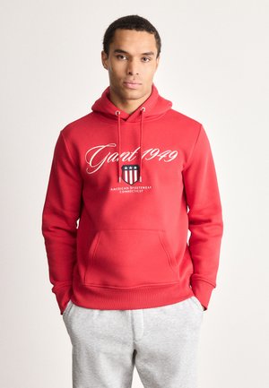 GRAPHIC HOODIE - Φούτερ με κουκούλα - ruby red
