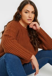 Brązowy sweter dzianinowy o fakturowym, waflowym wzorze i długich rękawach, zestawiony z niebieskimi dżinsami. Model w siedzącej pozycji, w spokojnej pozie.