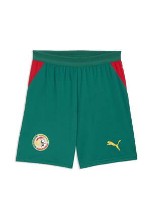 Shorts de sport verts avec des panneaux latéraux rouges, logo de l'équipe de football du Sénégal sur la jambe gauche, et logo Puma jaune sur la jambe droite.