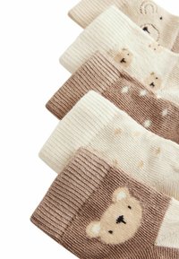 Next 5 PACK - Calze - neutral bear