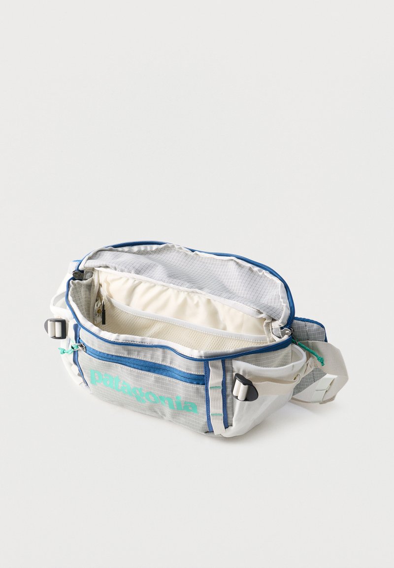 Silver Patagonia Waist Bag Patagonia HOLE WAIST PACK UNISEX Bum Bag Birch White/white Silver Patagonia Waist Bag Patagonia HOLE WAIST PACK UNISEX Bum Bag Birch White/white