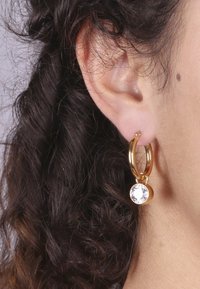 Gouden oorringen met een hangende heldere kristallen accent. Gladde metalen afwerking met ronde vormen en een veilige sluiting.