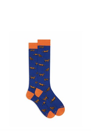 LUNGHE FANTASIA GATTI - Socken - blue