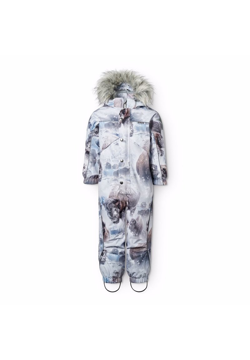 Molo POLARIS - Žieminis kombinezonas - grey