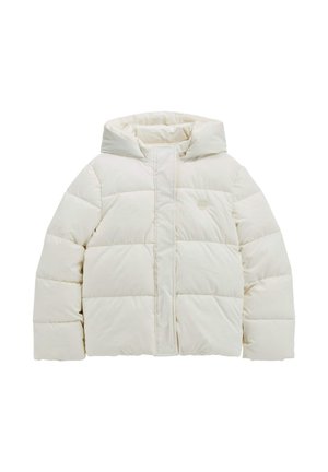 HOODED LS PADDED PUFFER W ZIP - Zimska jakna - weiß