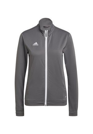 ENTRADA 22 JACKET - Chaqueta de entrenamiento - grauweiss