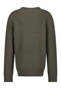 Olivgrüner Strickpullover mit gerippter Textur, Rundhalsausschnitt und langen Ärmeln, mit einem unifarbenen Rücken ohne Verzierungen.