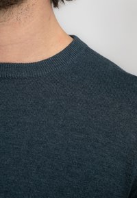 Petrol Industries - Sweter
