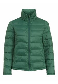 HIGH NECK - Žieminė striukė - pineneedle