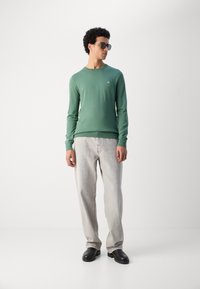 Groene lange mouwen sweater met een ronde hals en geribbelde zoom, gecombineerd met lichtgrijze rechte jeans en zwarte schoenen.