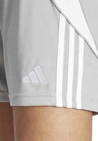 adidas Performance TIRO24 SHORTS WOMEN - Short de sport - grauweiss