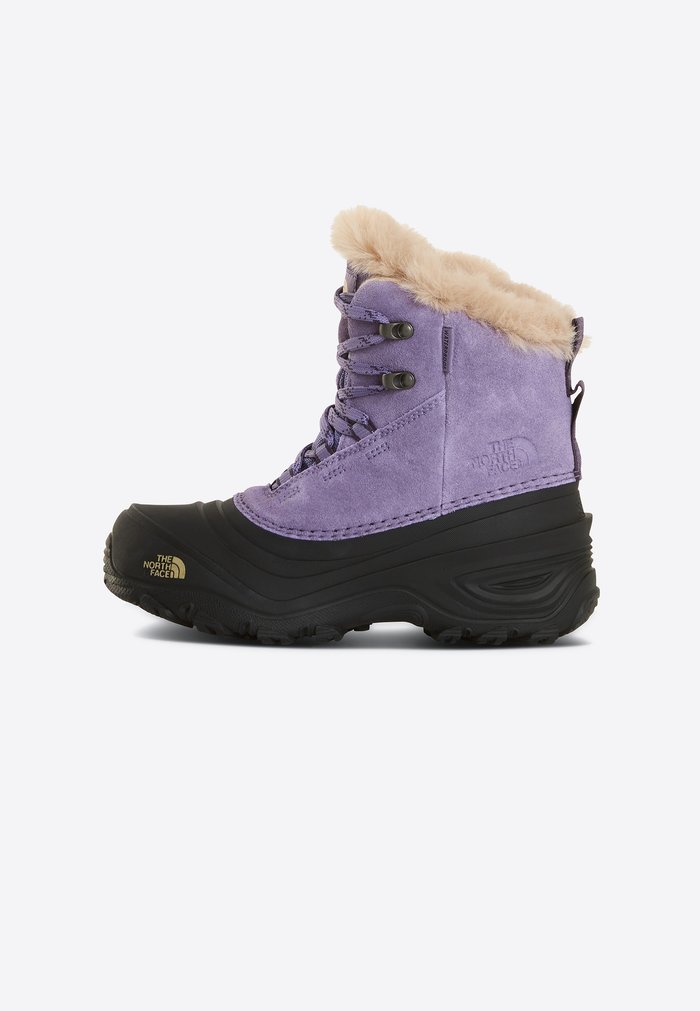 The North Face SHELLISTA UNISEX - Winter boots - grounded plum/endless dus