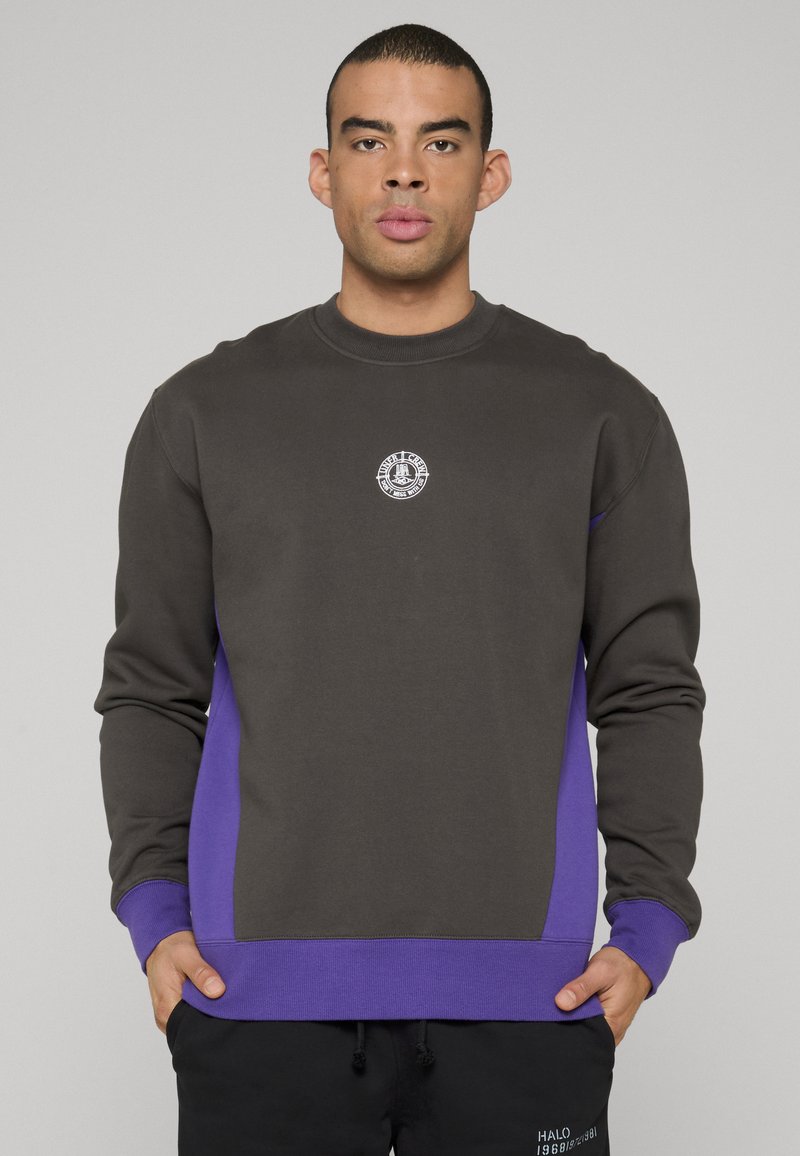 Sweatshirt met een donkergrijze body, paarse zijpanelen en manchetten. Het heeft een ronde hals en een centraal logo detail. Zachte textuur.