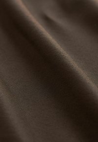 SHORT SLEEVE SOFT TOUCH - Paprasti marškinėliai - chocolate brown