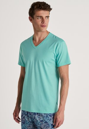 Mintgroene T-shirt met korte mouwen en V-hals, gemaakt van gladde stof, met een ontspannen pasvorm en zijslitsen voor optimaal bewegingsgemak.
