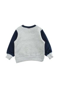 Sweat-shirt gris avec manches bleu marine, poignets et col côtelés. Texture douce, design décontracté, présente une vue arrière simple et épurée.